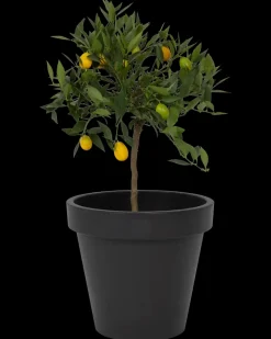 Plantekrukke antracitgrå Ø40 cm