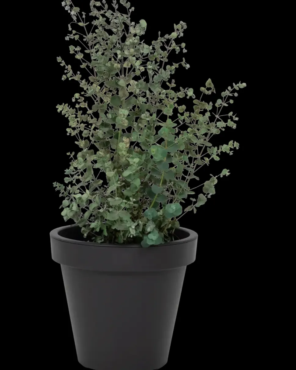Plantekrukke antracitgrå Ø30 cm
