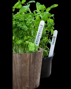 Plantemærke 15 cm 50-pak