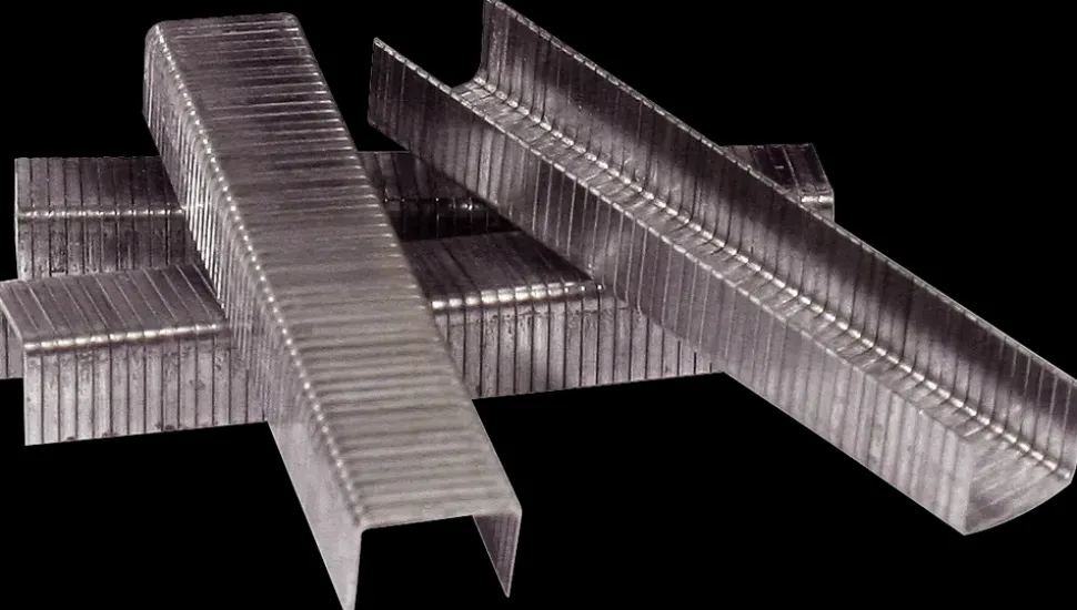 ProBuilder Hæfteklammer 8 mm